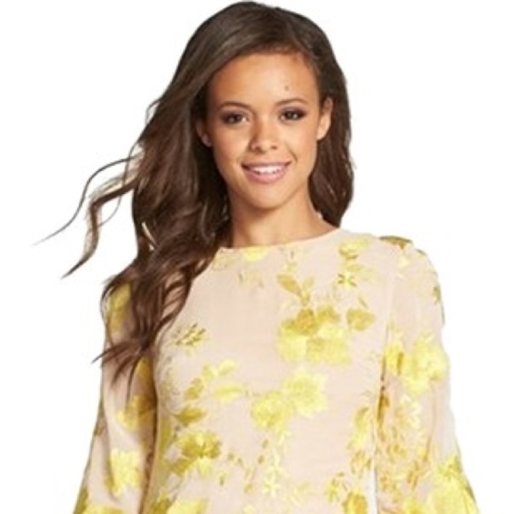 Dress The Population Paige Metallic Embroidered Chiffon Cocktail Dress - Small